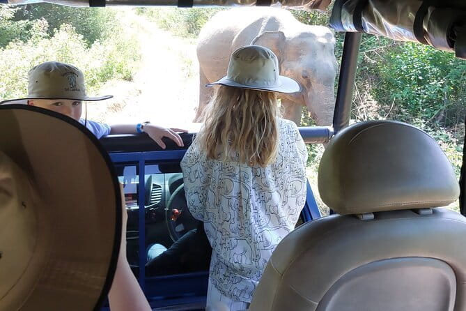 Wildlife Safari Yala National park - Yala National Park, where the safari earns its keep