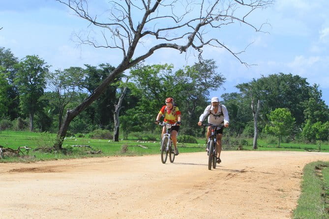 Wilpattu Half Day Safari From Anuradhapura - Elephants, deer, and birds add depth