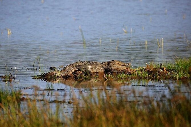 Wilpattu National Park Jeep Safari from Negombo / Waikkal (All Inclusive) - Breakfast before the Jeep safari