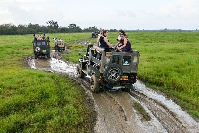 Wilpattu National Park Jeep Safari from Negombo / Waikkal (All Inclusive) - The value of a private safari day