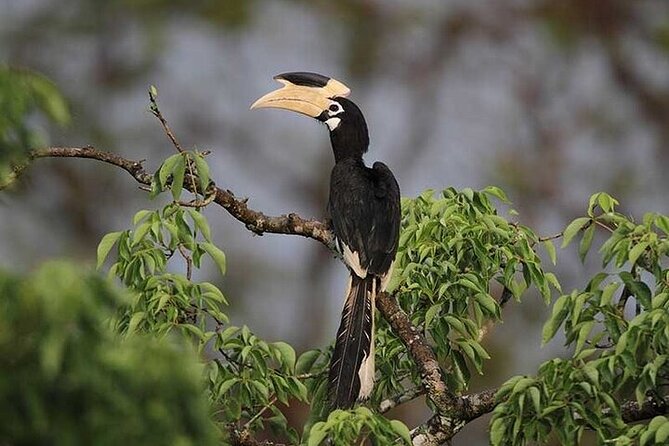 Wilpattu National Park Jeep Safari from Negombo / Waikkal (All Inclusive) - Practical details that matter