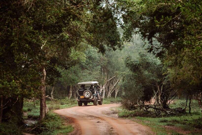 Wilpattu National Park: Private Safari - Should you book the Wilpattu private safari?