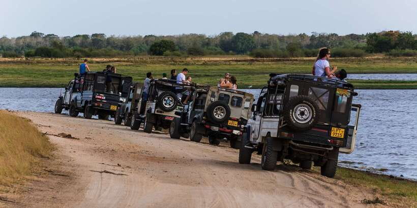 Wilpattu National Park Safari Tour from Colombo - Lunch near Puttalam, with the bill separate