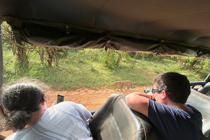 Yala 4h Jeep Safari: Guided Wildlife Experience (All Inclusive) - What the $172 price covers