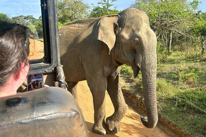 Yala 4h Jeep Safari: Guided Wildlife Experience (All Inclusive) - Booking, cancellation, and useful checks