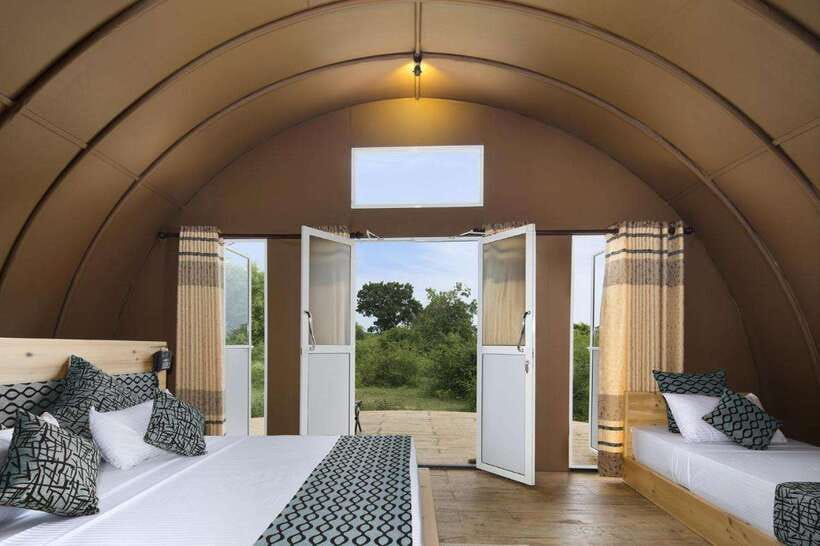 Yala: All Inclusive Overnight Glamping and Safari - The morning jeep safari in Yala National Park