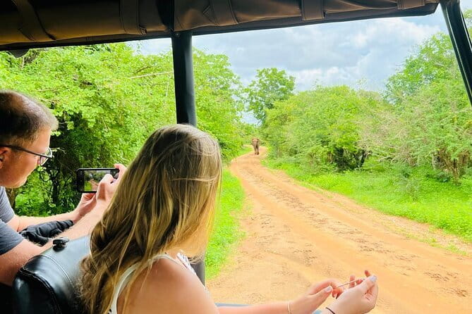 Yala Best Extended Half Day Safari By Ceylon Leopard Safari - Pickup, park entry, and the first tracks