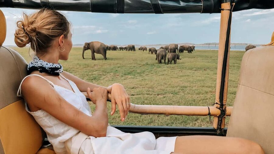 YALA BLOCK 5 & 6 (Weheragala & Lunugamwehera) Safari Tour - A quieter side of the Yala safari region