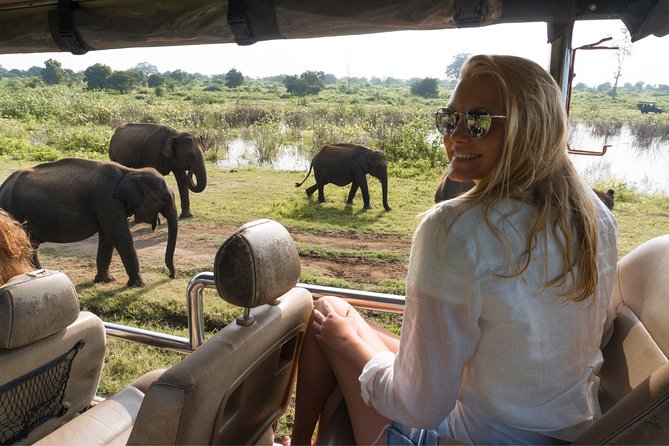 Yala Full day Leopard Safari Tour with Picnic Lunch - Finding Yala’s leopards