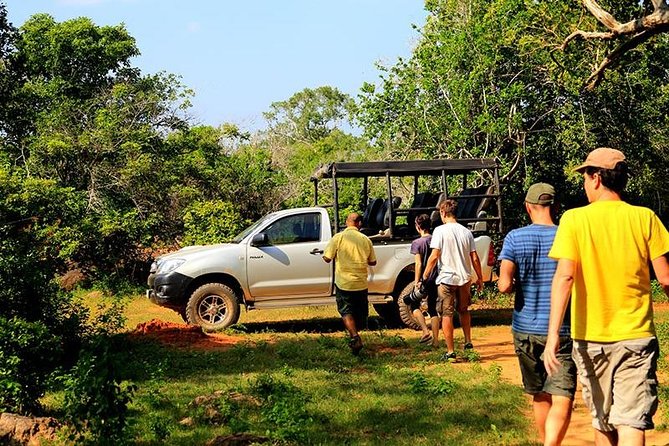 Yala Full day Leopard Safari Tour with Picnic Lunch - Elephants, crocodiles, birds, and smaller animals