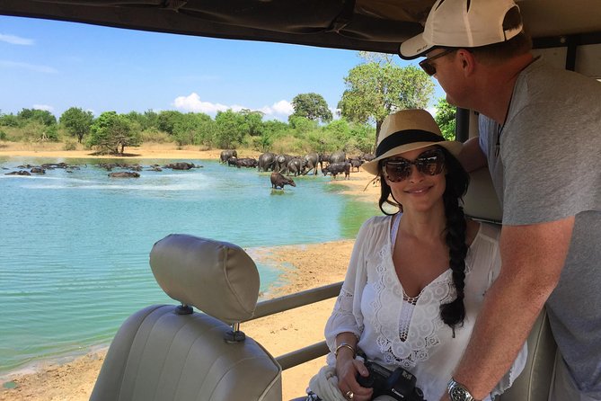 Yala Full Day Safari with Picnic Lunch - Private & All Inclusive - Why a full day in Yala matters