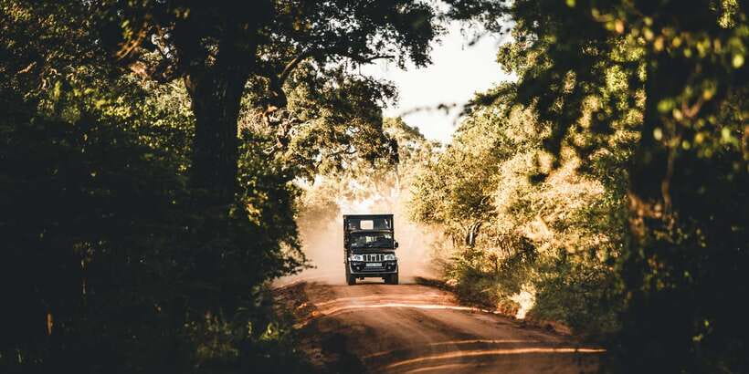 Yala: Morning or Afternoon All-inclusive Private Safari - Inside the customized safari vehicle