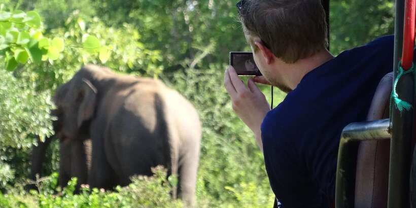Yala National Park: All Inclusive Full-Day Safari with Lunch - The morning game drive through Yala