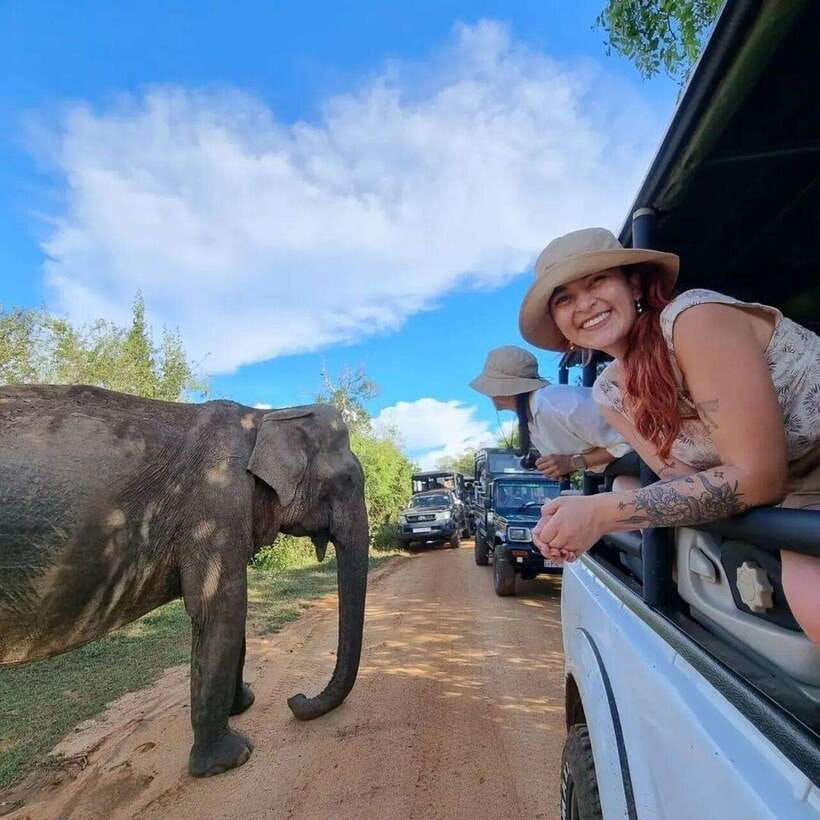 Yala National Park: All Inclusive Private Safari Day Trip - Key points to know before booking