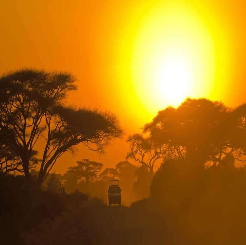 Yala National Park: All Inclusive Private Safari Day Trip - Four hours among forest, grass, and water