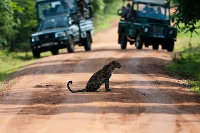 Yala National Park (Day Tour) - The trip from your Kalutara hotel