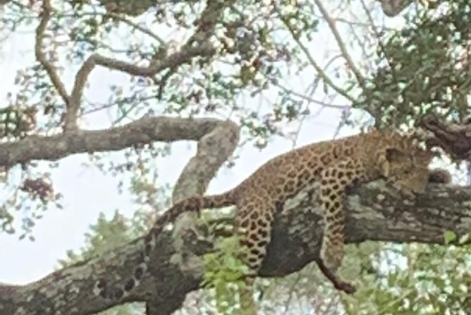 Yala National Park Full-Day Jeep Safari with Lunch - Arriving at Yala and changing into the safari jeep