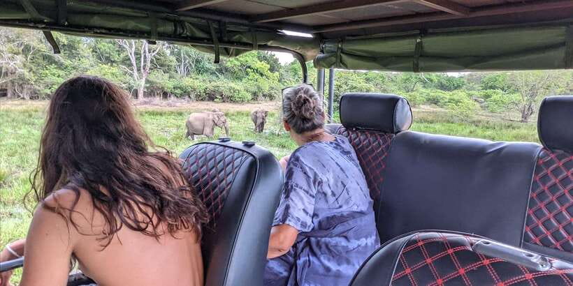 Yala National Park : Full Day Safari(04:30-18:00) - Key points to know before booking