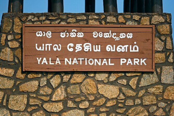 Yala National Park Half Day / Full Day Special Safari Tours - Inside the safari jeep