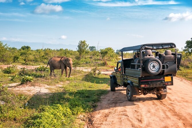 Yala National Park Half Day / Full Day Special Safari Tours - The real price: $22 plus the park fee