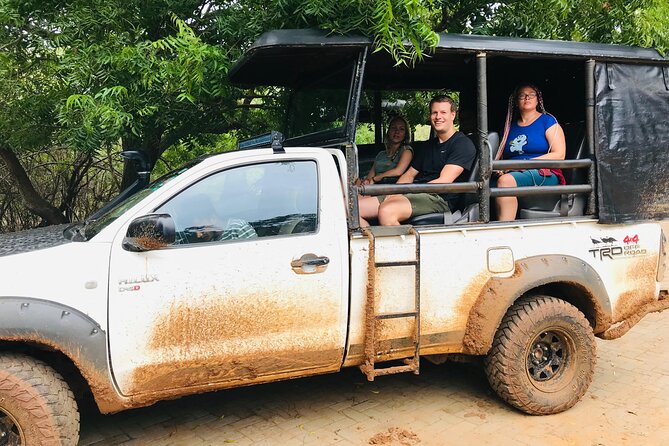 Yala National Park Half Day / Full Day Special Safari Tours - What the 11 to 12-hour schedule feels like