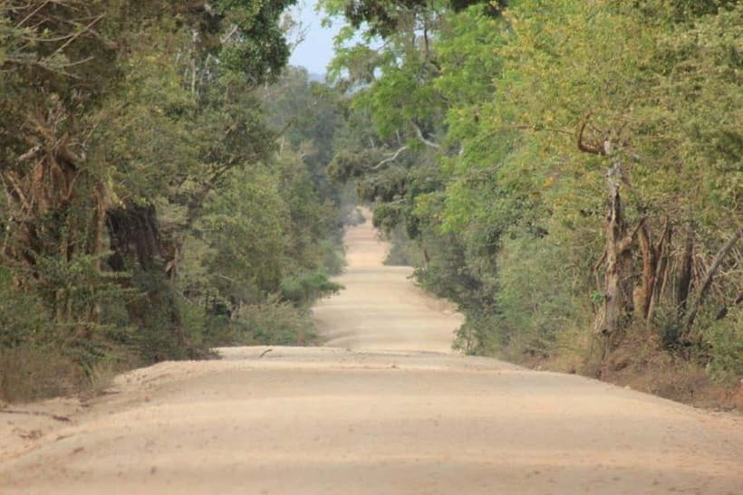 YALA National Park - HALF DAY or FULL DAY TOUR - What the $12 price really covers
