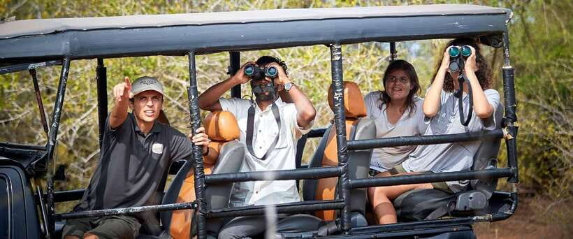 Yala National Park Jeep Safari: Leopards, Elephants & Wild - Five hours among Yala’s animals