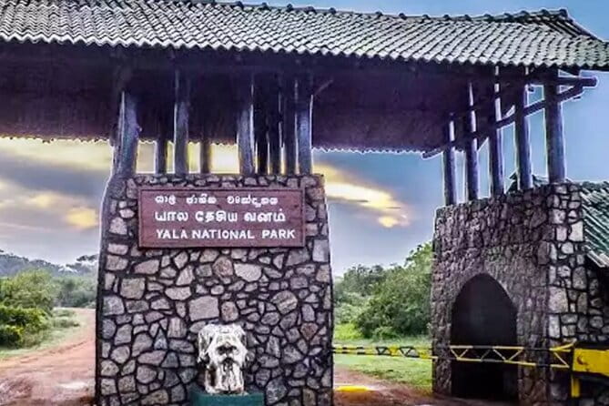 Yala National Park Private Jeep Safari From Colombo & Negombo - What the private format is worth at $250
