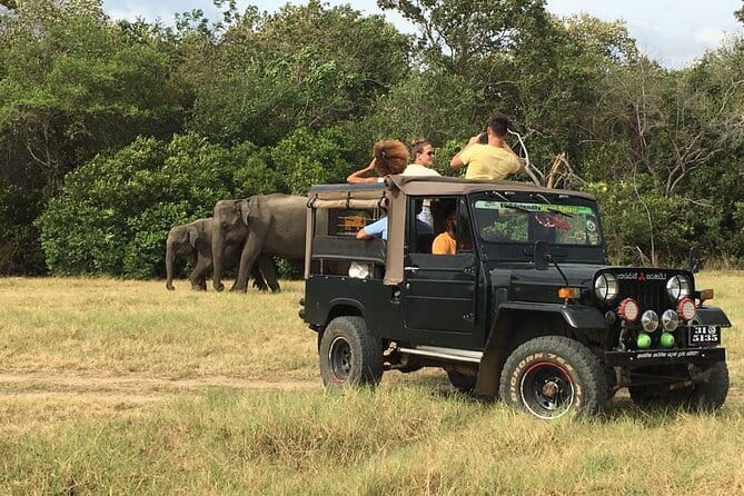 Yala National Park Private Jeep Safari From Colombo & Negombo - The guides can shape the whole day