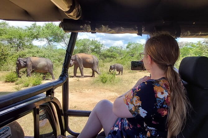 Yala National Park Private Jeep Safari From Colombo & Negombo - Safety and vehicle questions to ask first