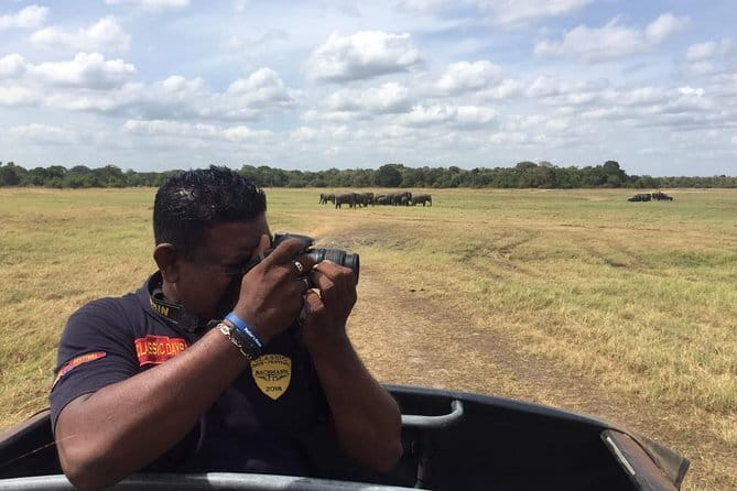 Yala National Park Private Jeep Safari From Colombo & Negombo - Who will enjoy this Yala day trip most