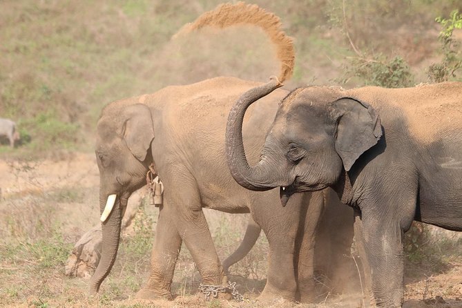 Yala National Park Private Safari (All Inclusive) From Mirissa - Key points to know before booking