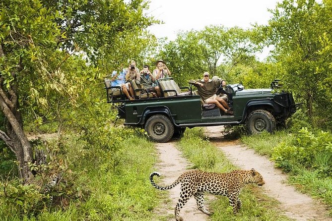 Yala National Park Private Safari (All Inclusive) From Mirissa - Who will enjoy this most