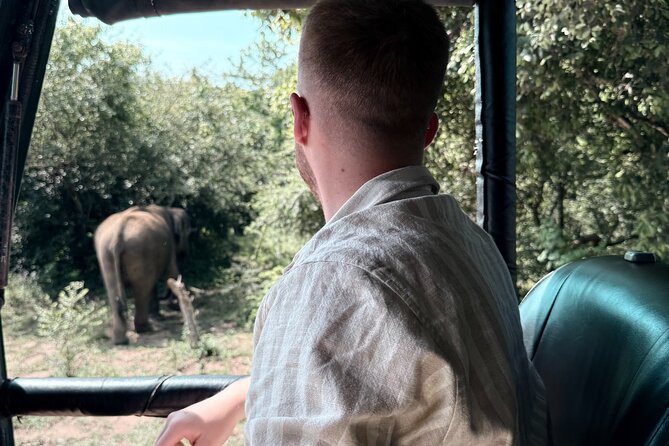 Yala National Park Safari FULLDAY and HALFDAY Expert Guided Tour - Why the early start matters in Yala