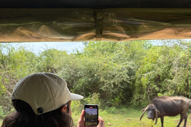 Yala National Park Safari FULLDAY and HALFDAY Expert Guided Tour - Wildlife ethics and the jeep traffic problem