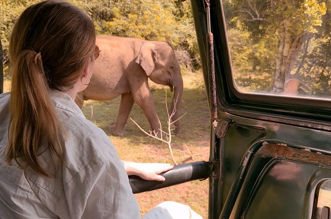 Yala National Park Safari FULLDAY and HALFDAY Expert Guided Tour - Who will enjoy this full-day Yala safari