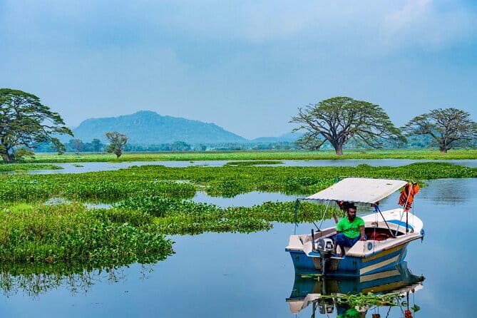 Yala National Park Safari - Half day and Full day - What is included for the $20 price