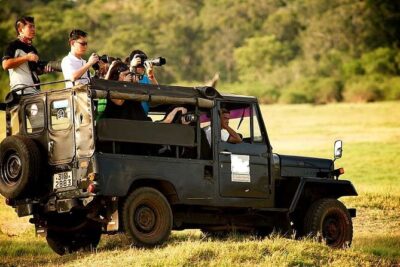 Yala National Park Safari – Private Tour
