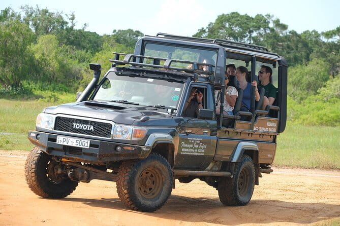 Yala National Park Safari : Special Guided Tour - Key points to know before booking