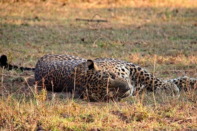 Yala National Park Safari Tours From Hambantota port - From Hambantota Port to the park