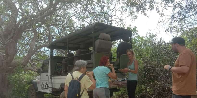 Yala National Park Sharing Safari (5 Hours) - The 2pm afternoon drive and final light