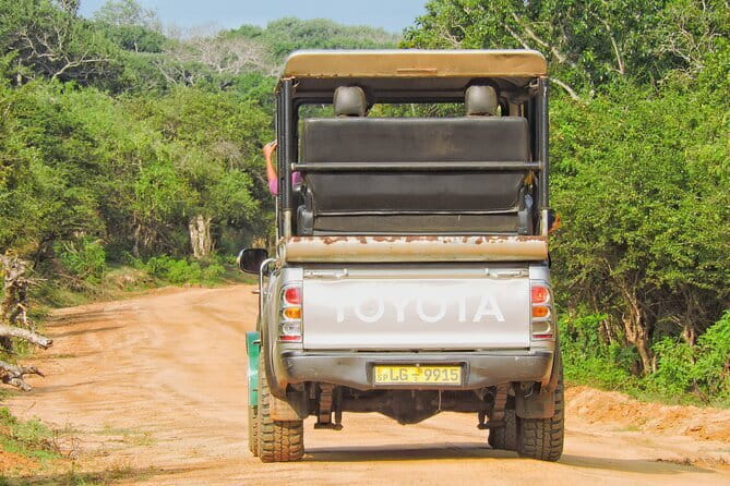 Yala National Park special Half-Day & Full-Day Safari Adventure - A full-day lunch and the useful extras