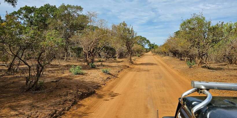 Yala National Park Wildlife safari from Mirissa - From Mirissa to Yala, a long morning on the road