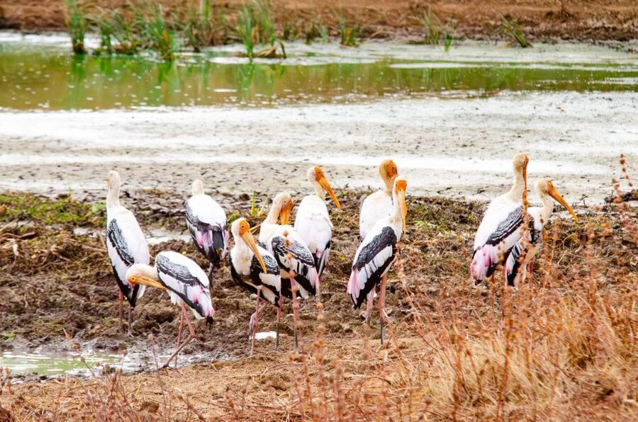 Yala National Park Wildlife safari from Mirissa - Practical packing for the jeep
