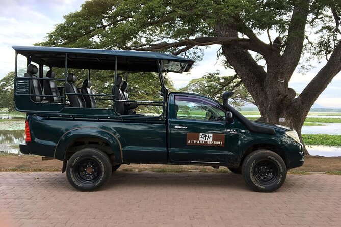 Yala National Park Wildlife Safari/ Game Drive - by Ajith Safari - Key points to know before booking