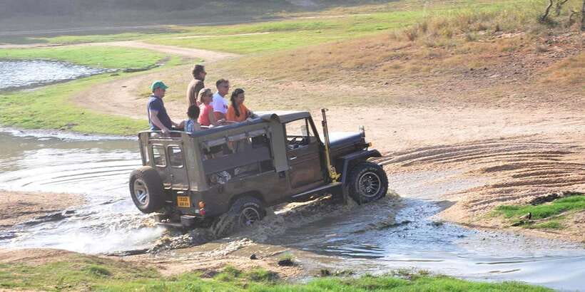 Yala Private Safari: Half-Day or Full-Day with Picnic Lunch - Key points before you book