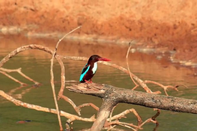 Yala Safari by Yala Safari Wonders - Simple Planning Advice Before You Book
