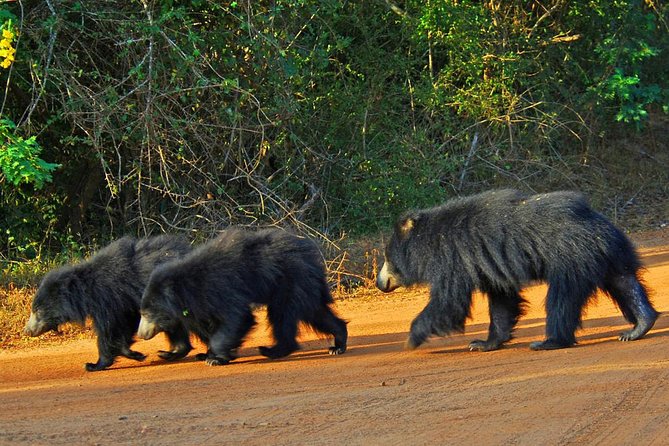 Yala Safari Day Trip from Bentota/ Kalutara/ Ahungalla/ Hikkaduwa - Pickup covers much of the southwest coast