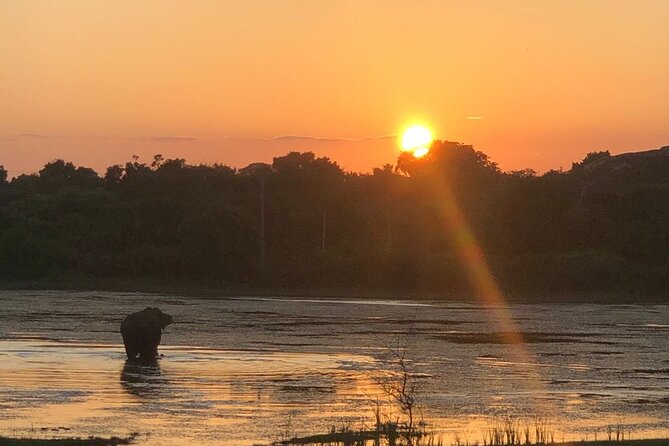 Yala Safari Half Day Tour - What the Yala safari is really about