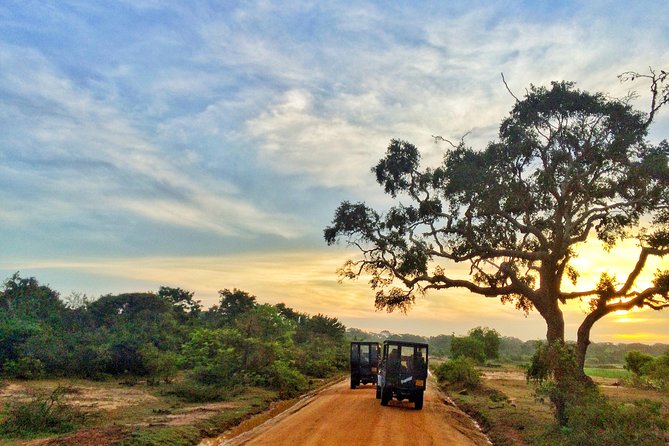 Yala Safari Private Day Trip from Bentota and Kalutara Areas - Is $810 good value?